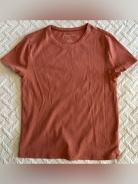 American Eagle Outfitters Ribbed Short Sleeve Tee in Terracotta